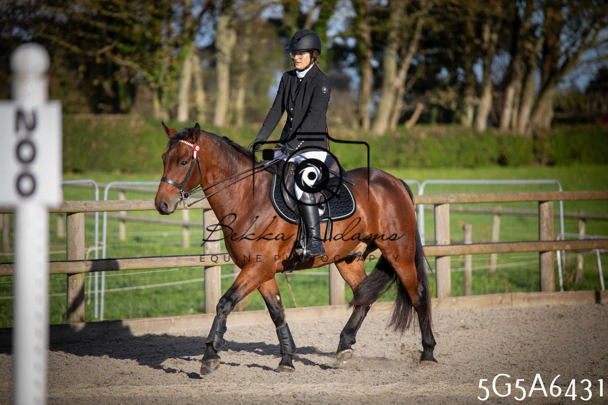 Funshine Show Jumping 2026 - Seniors