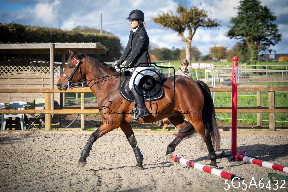 Funshine Show Jumping 2026 - Seniors