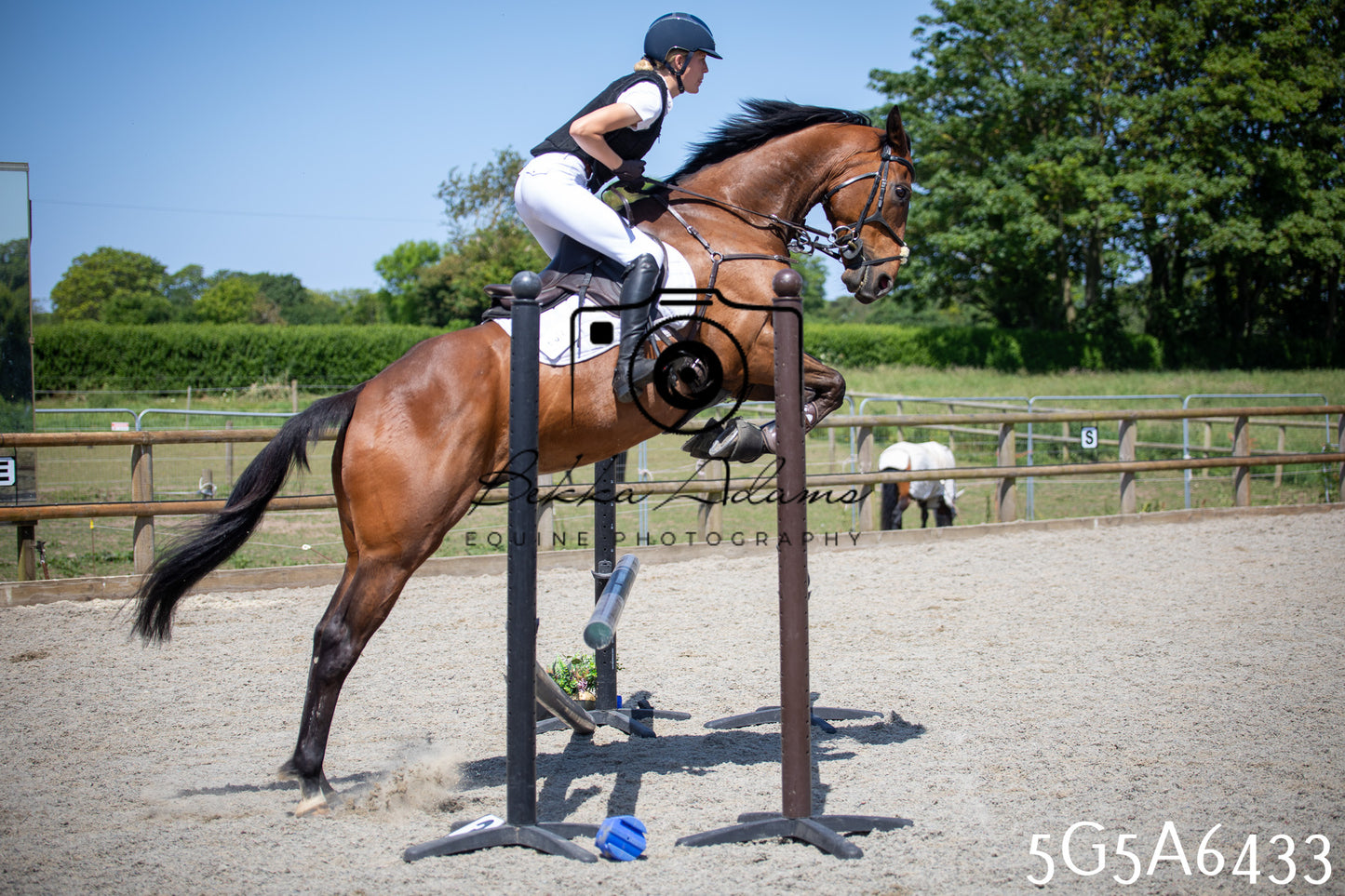 Home Farm Show Jumping 24th May 2026