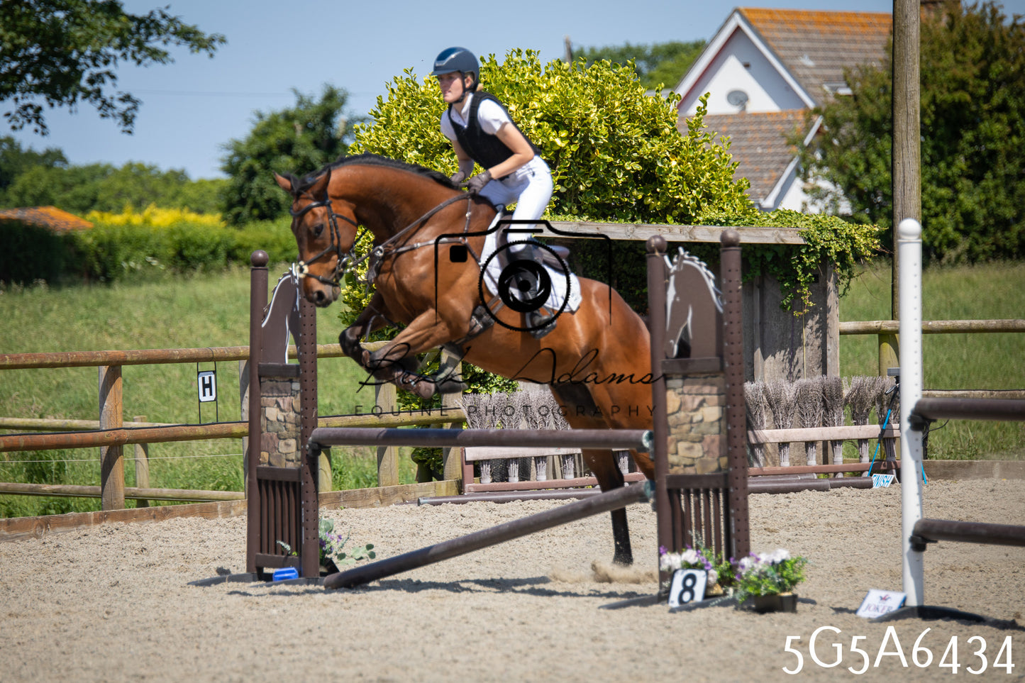 Home Farm Show Jumping 24th May 2026