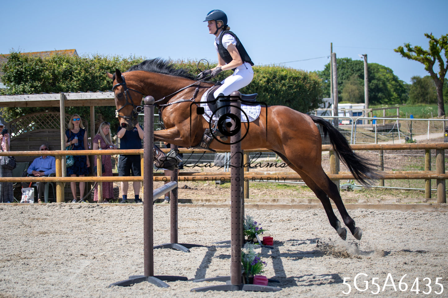 Home Farm Show Jumping 24th May 2026