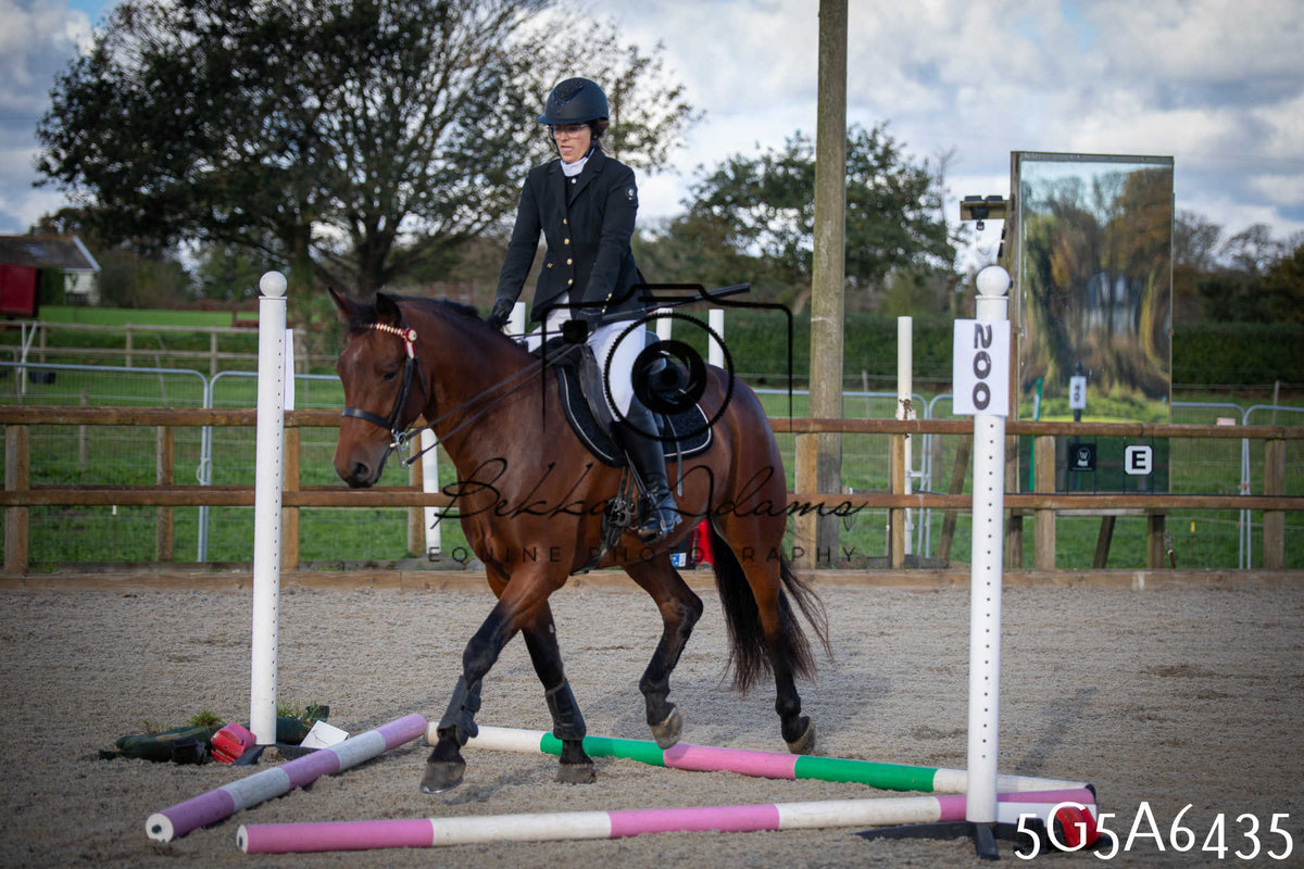 Funshine Show Jumping 2026 - Seniors