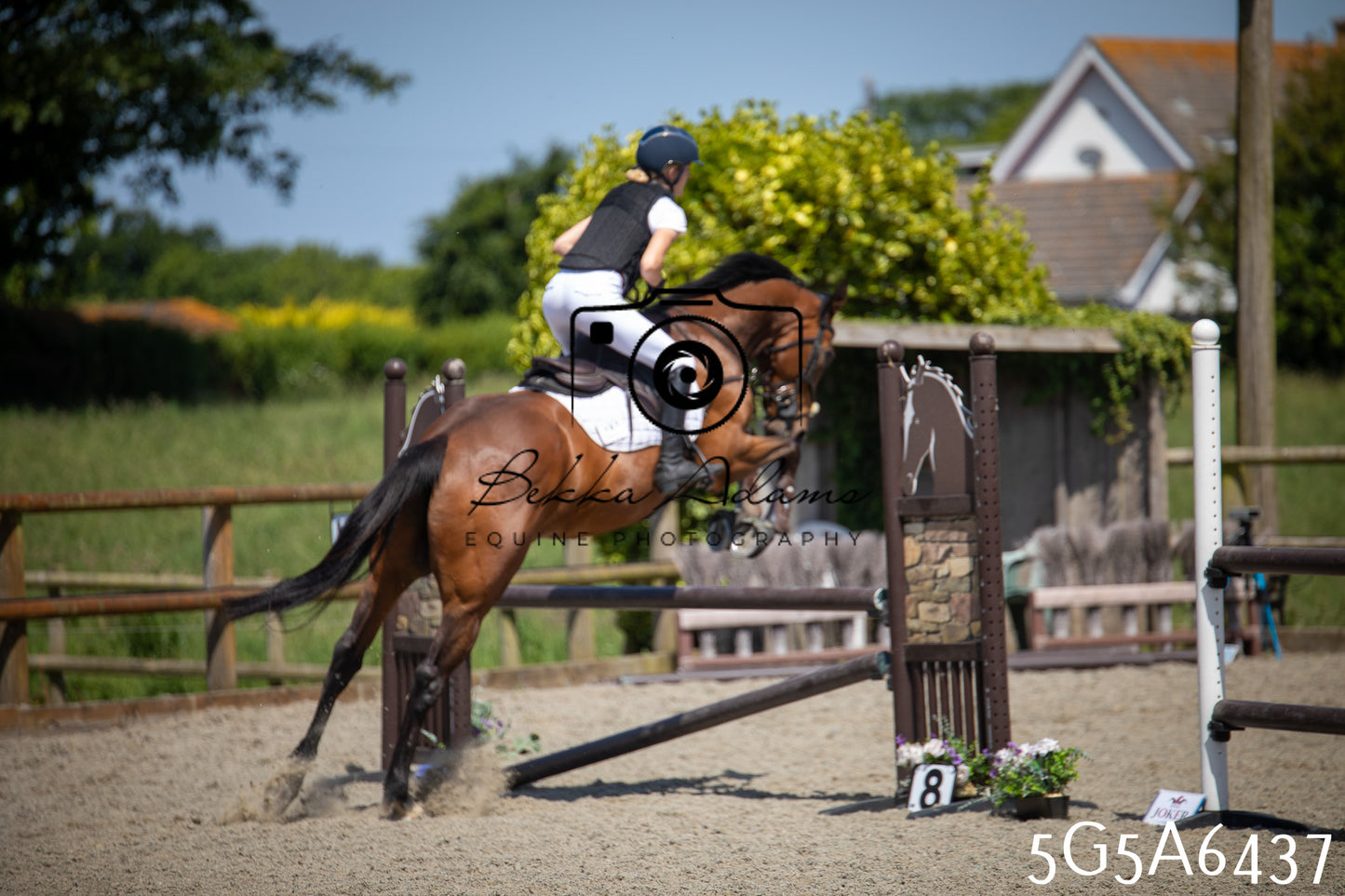 Home Farm Show Jumping 24th May 2026