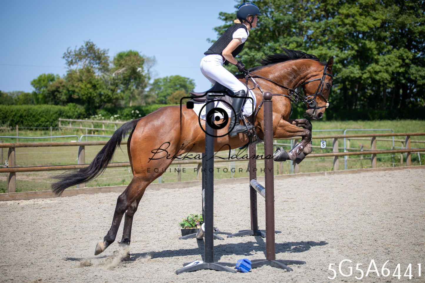 Home Farm Show Jumping 24th May 2026