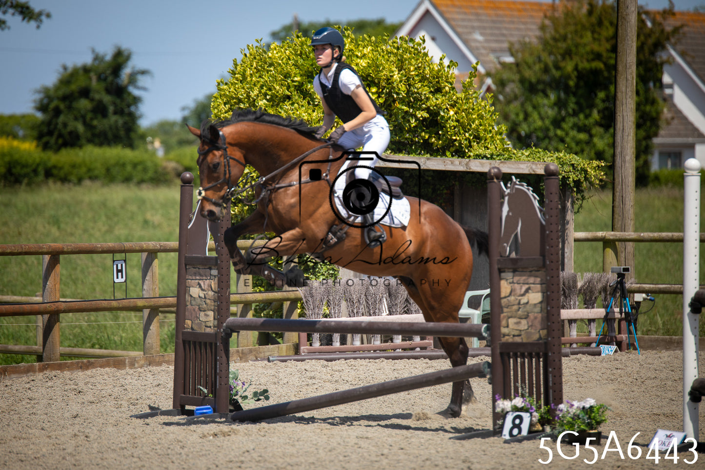 Home Farm Show Jumping 24th May 2026