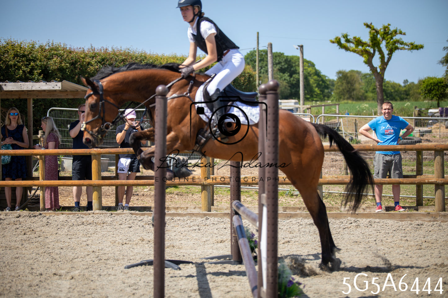 Home Farm Show Jumping 24th May 2026