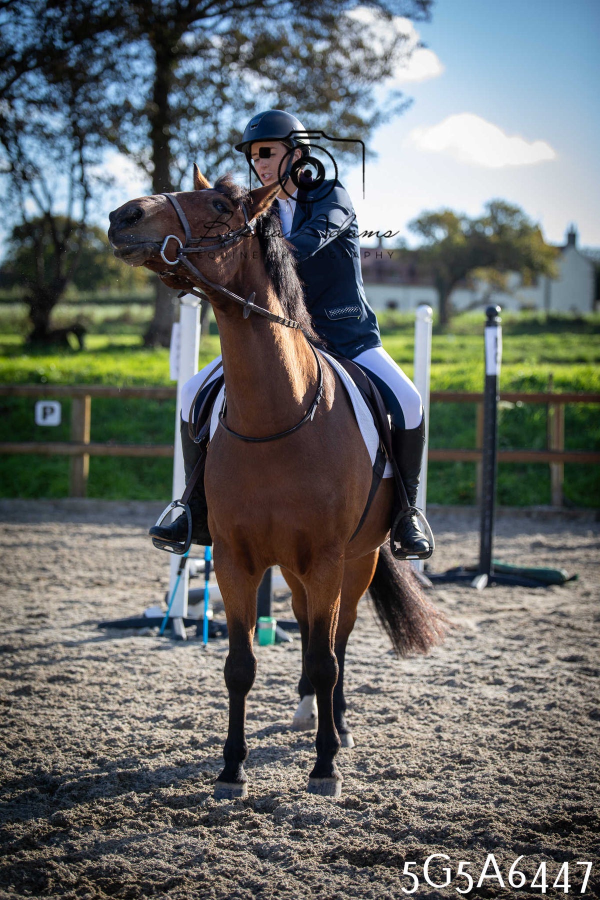 Funshine Show Jumping 2026 - Seniors
