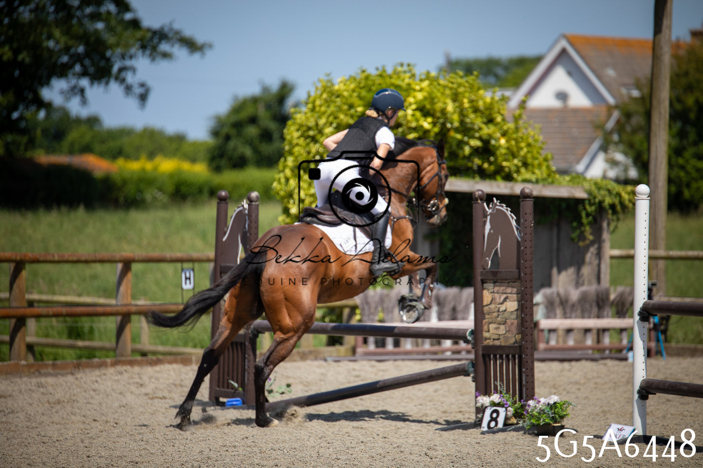 Home Farm Show Jumping 24th May 2026