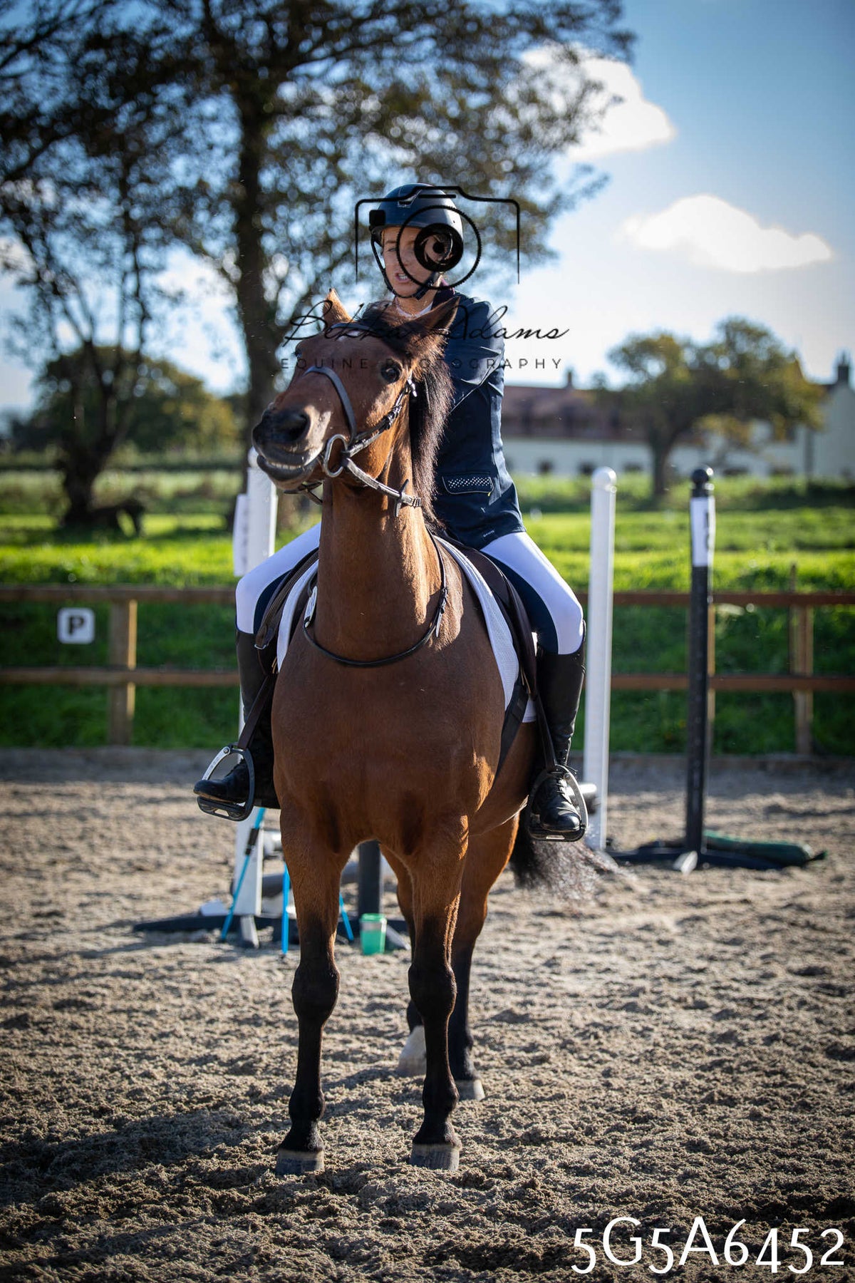 Funshine Show Jumping 2026 - Seniors