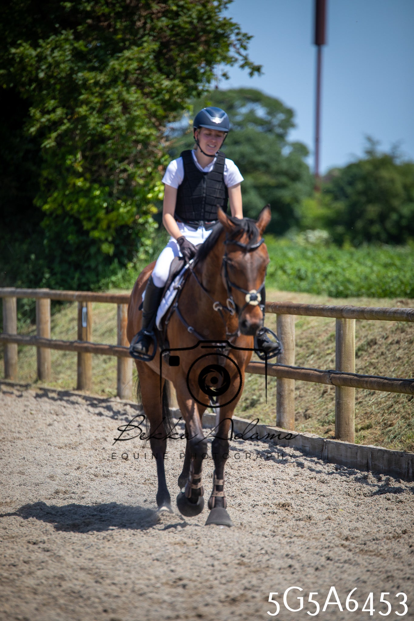 Home Farm Show Jumping 24th May 2026