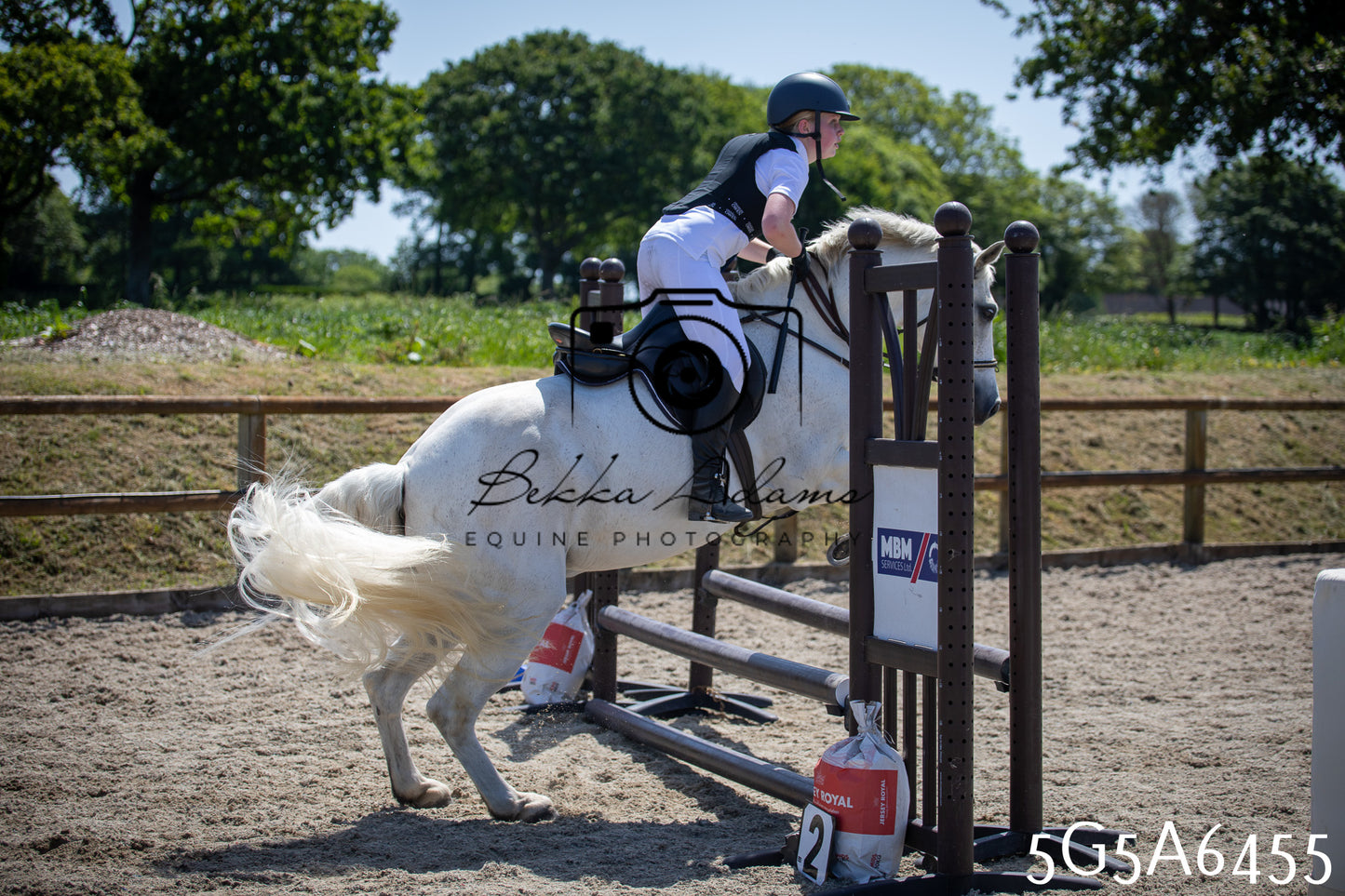 Home Farm Show Jumping 24th May 2026