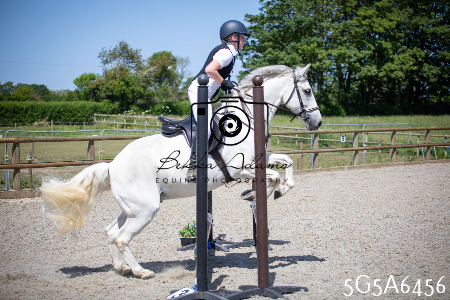 Home Farm Show Jumping 24th May 2026
