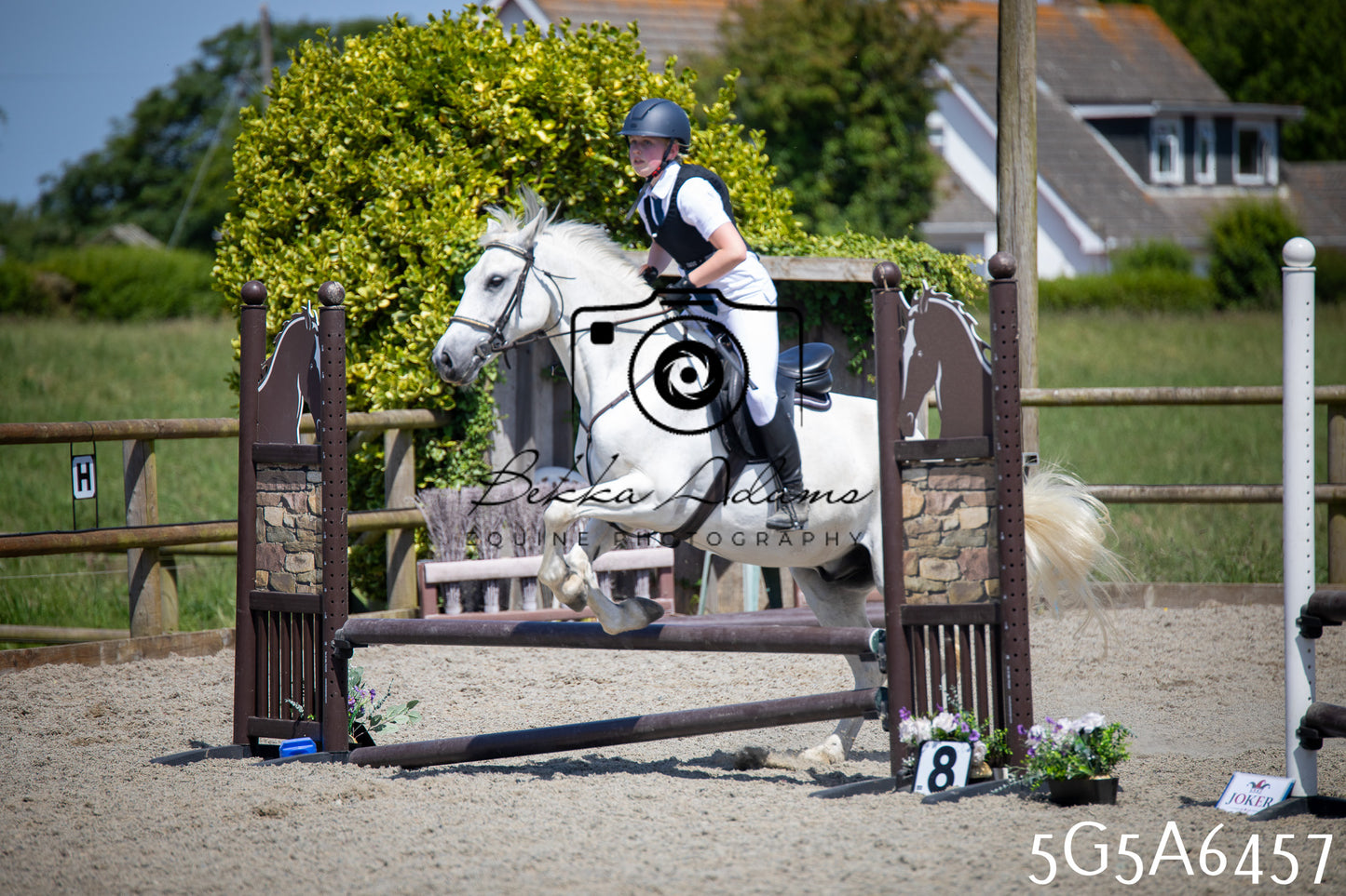 Home Farm Show Jumping 24th May 2026