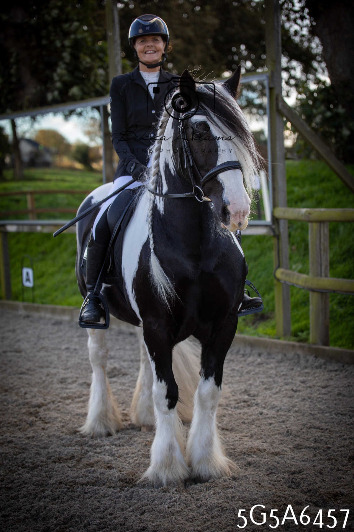 Funshine Show Jumping 2026 - Seniors
