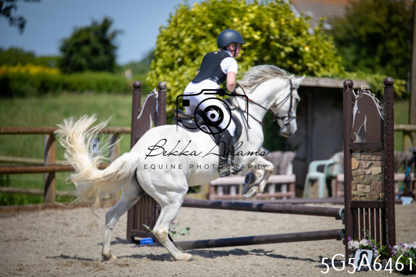Home Farm Show Jumping 24th May 2026
