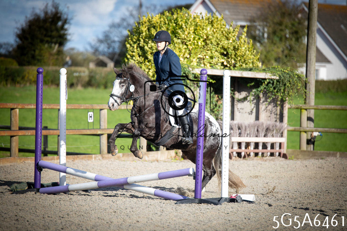 Funshine Show Jumping 2026 - Seniors