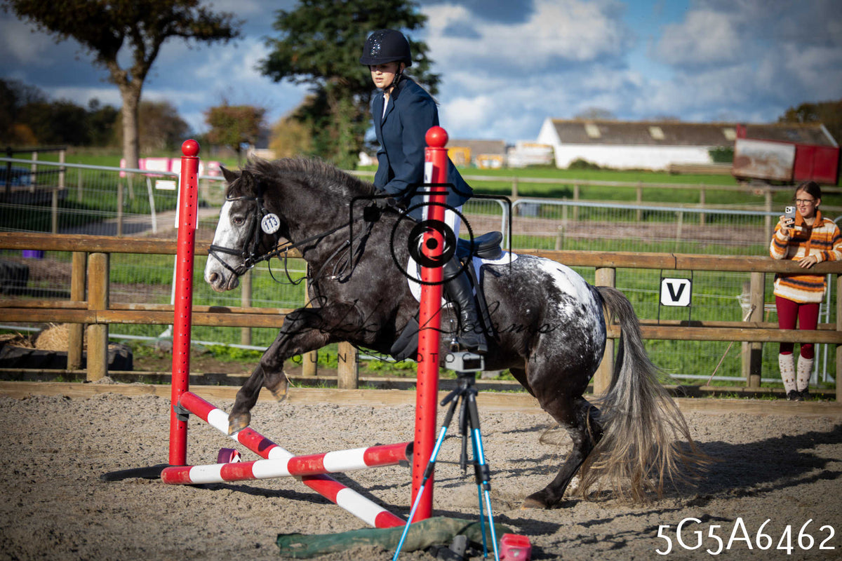 Funshine Show Jumping 2026 - Seniors