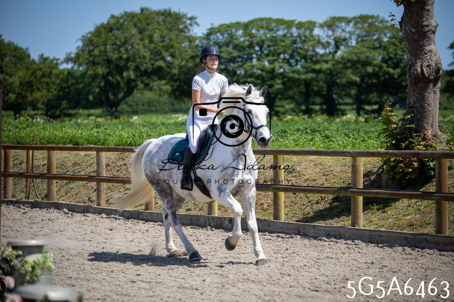 Home Farm Show Jumping 24th May 2026