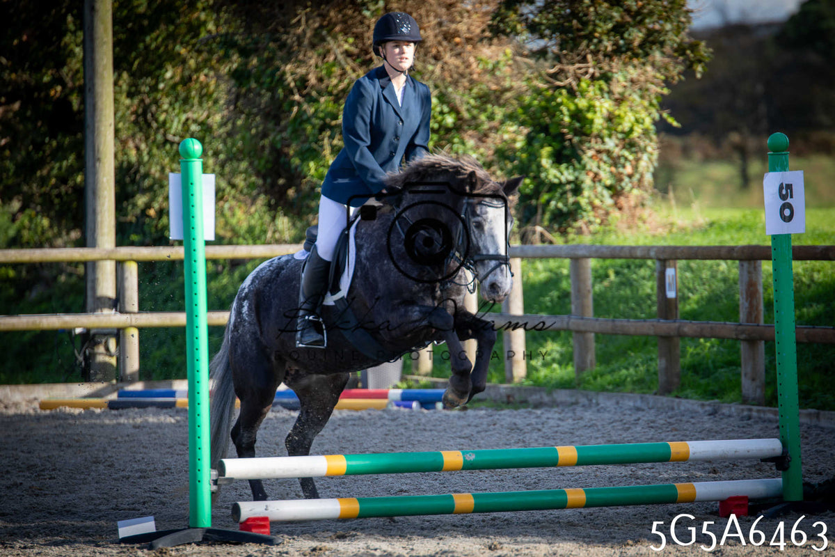 Funshine Show Jumping 2026 - Seniors