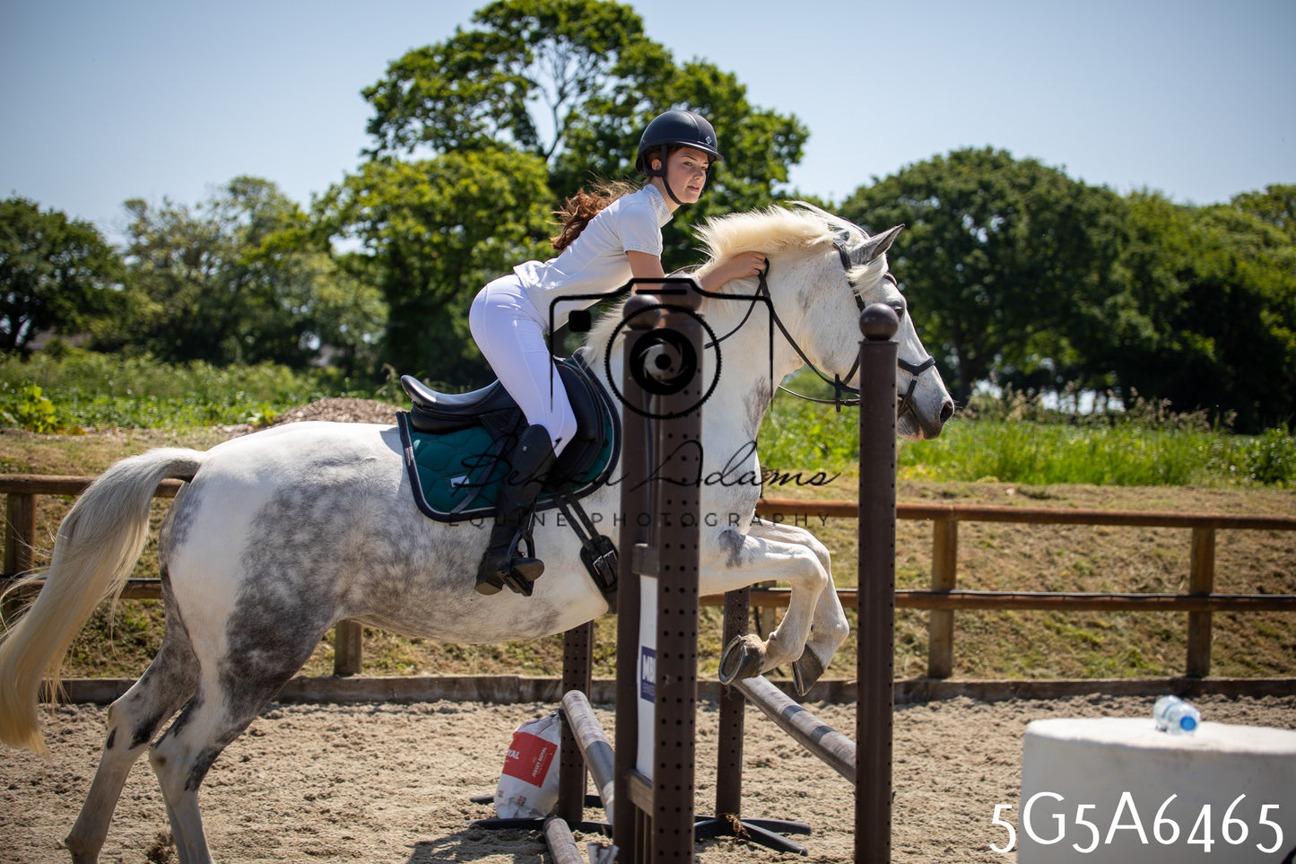 Home Farm Show Jumping 24th May 2026