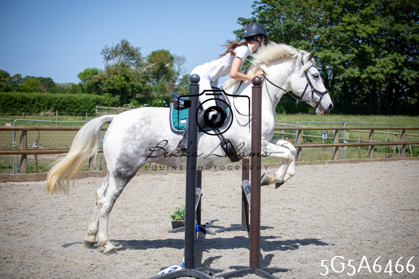 Home Farm Show Jumping 24th May 2026