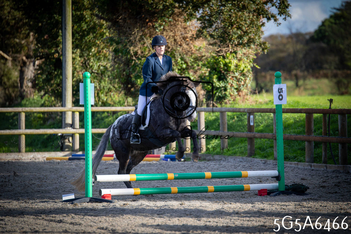 Funshine Show Jumping 2026 - Seniors