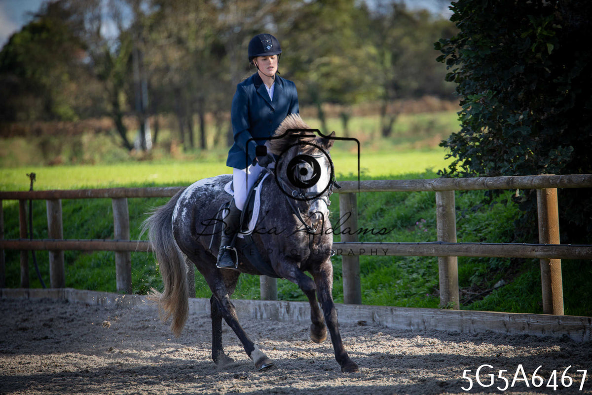 Funshine Show Jumping 2026 - Seniors