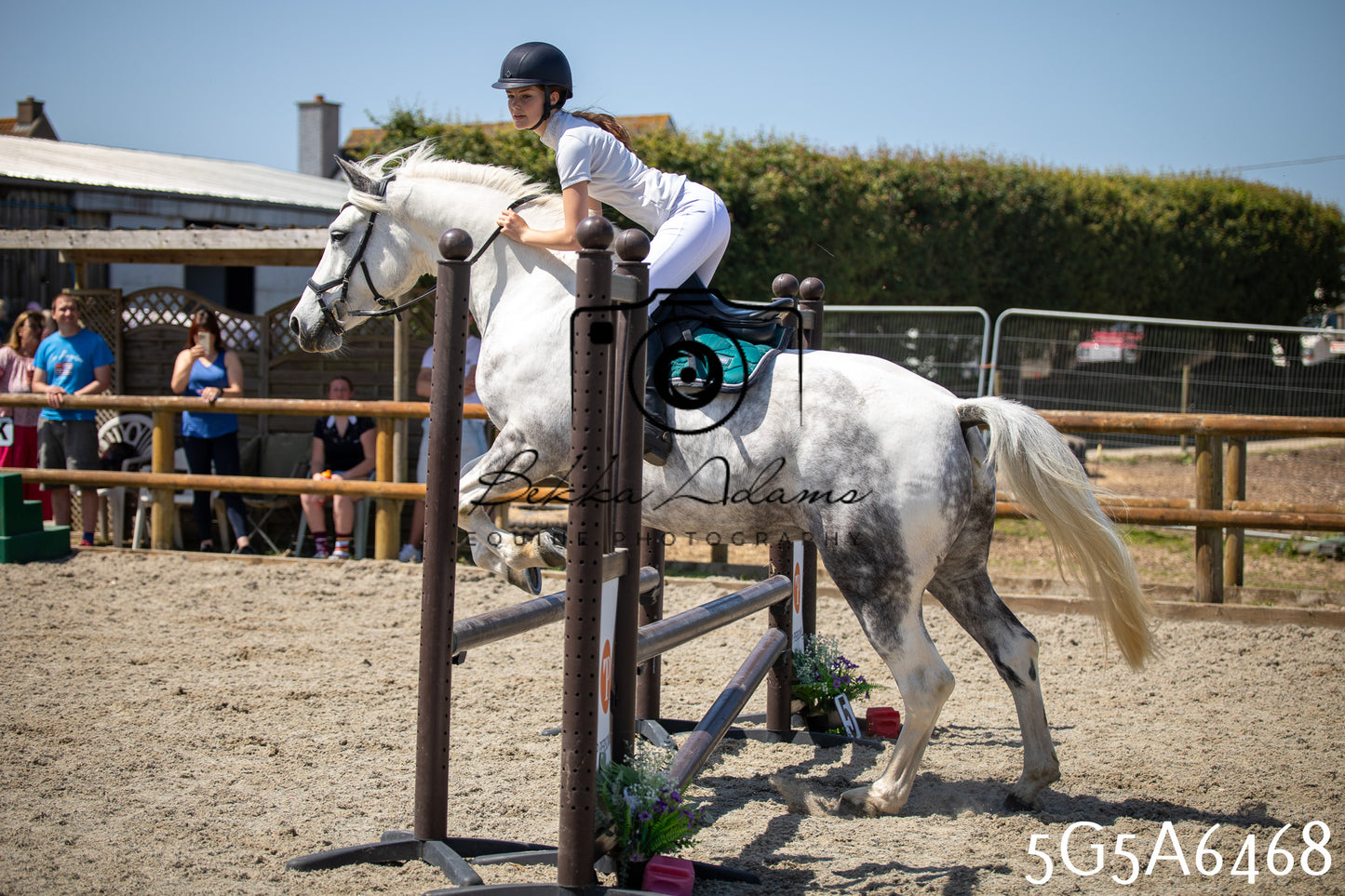 Home Farm Show Jumping 24th May 2026