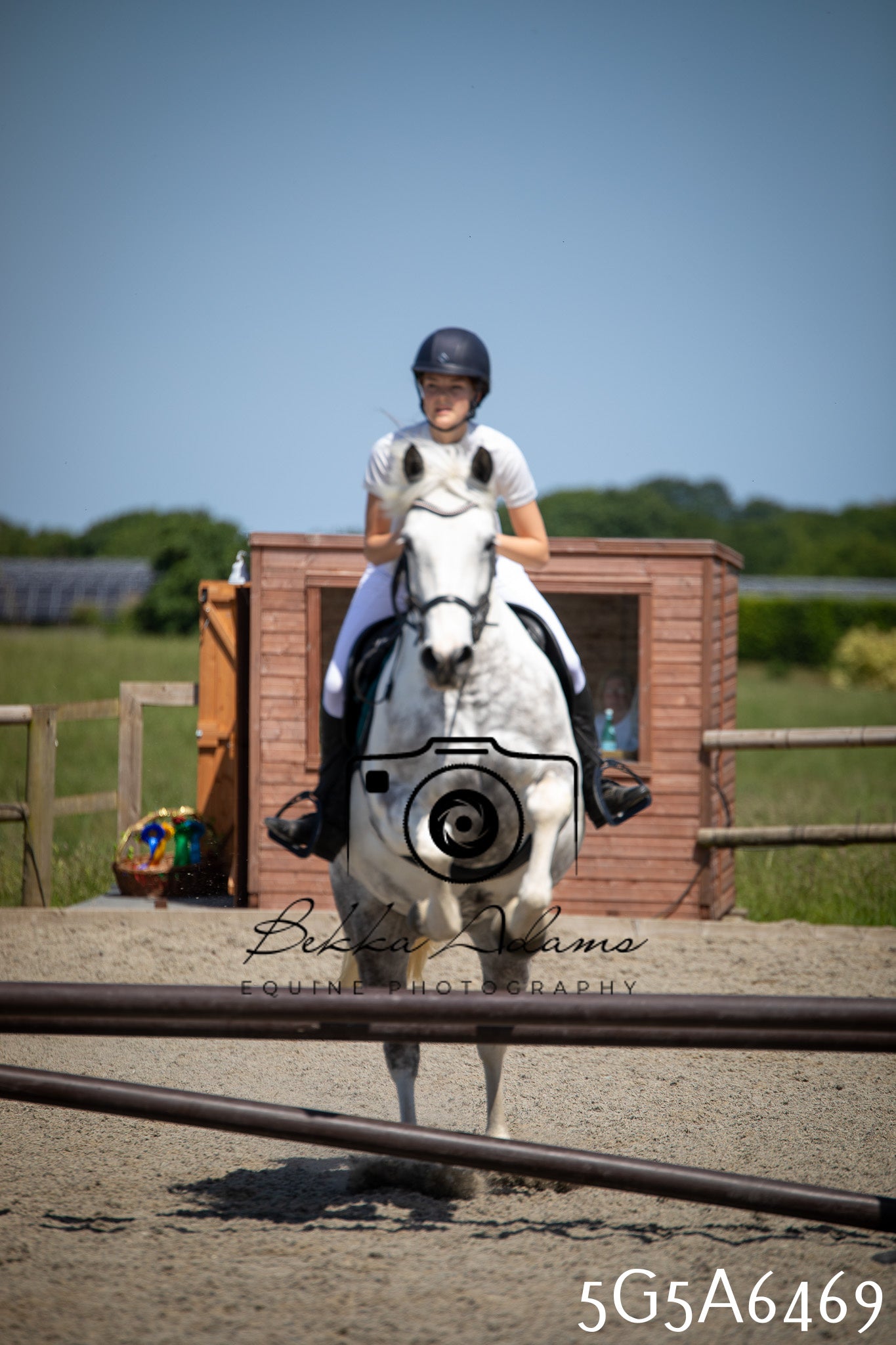Home Farm Show Jumping 24th May 2026