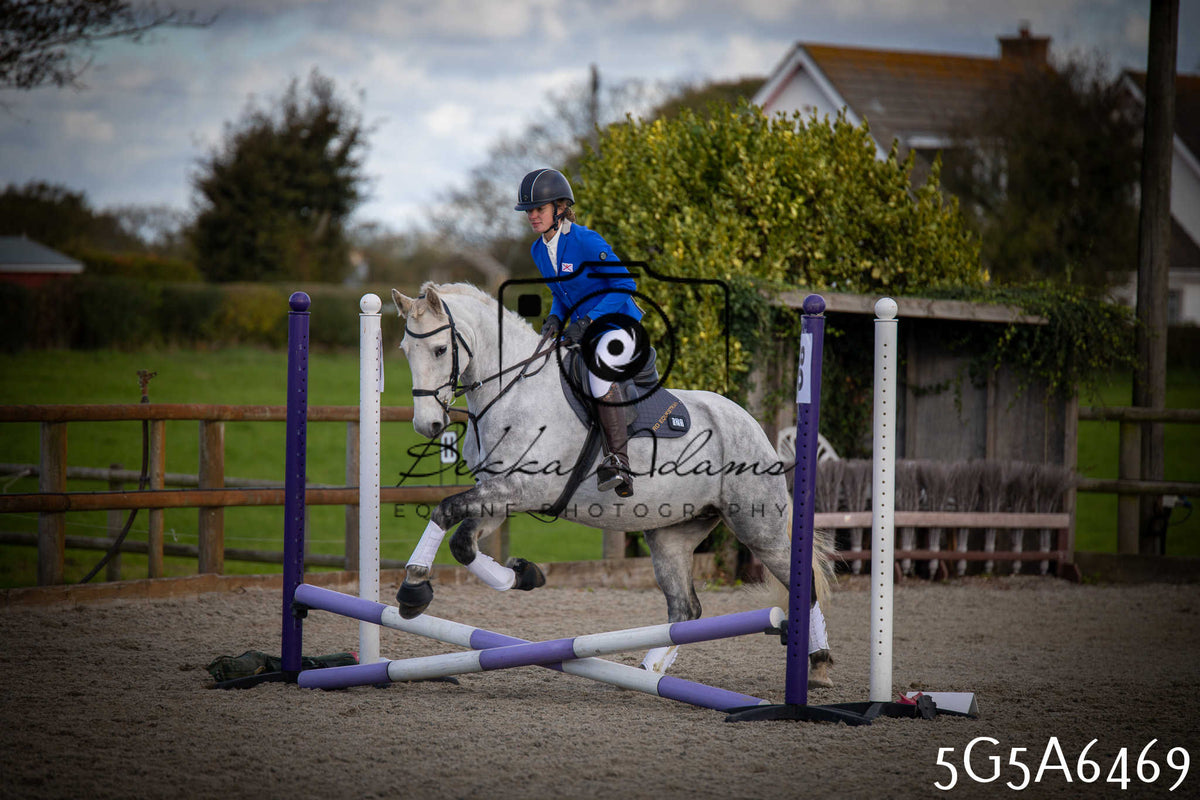 Funshine Show Jumping 2026 - Seniors
