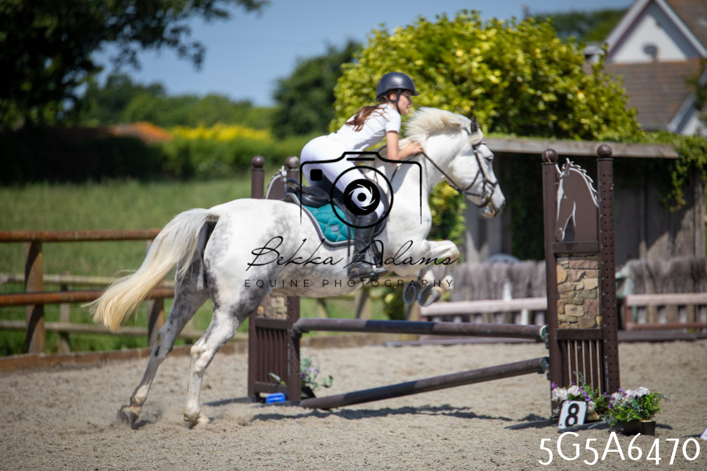 Home Farm Show Jumping 24th May 2026