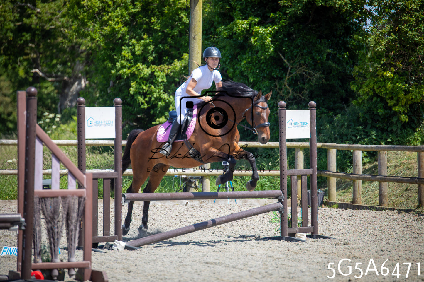 Home Farm Show Jumping 24th May 2026