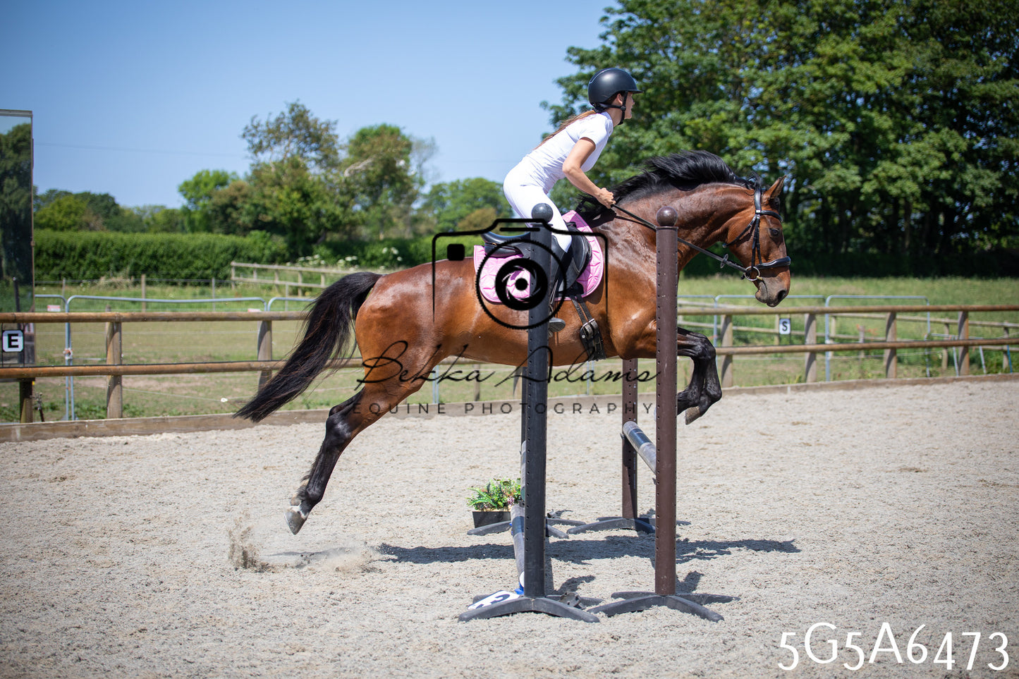 Home Farm Show Jumping 24th May 2026