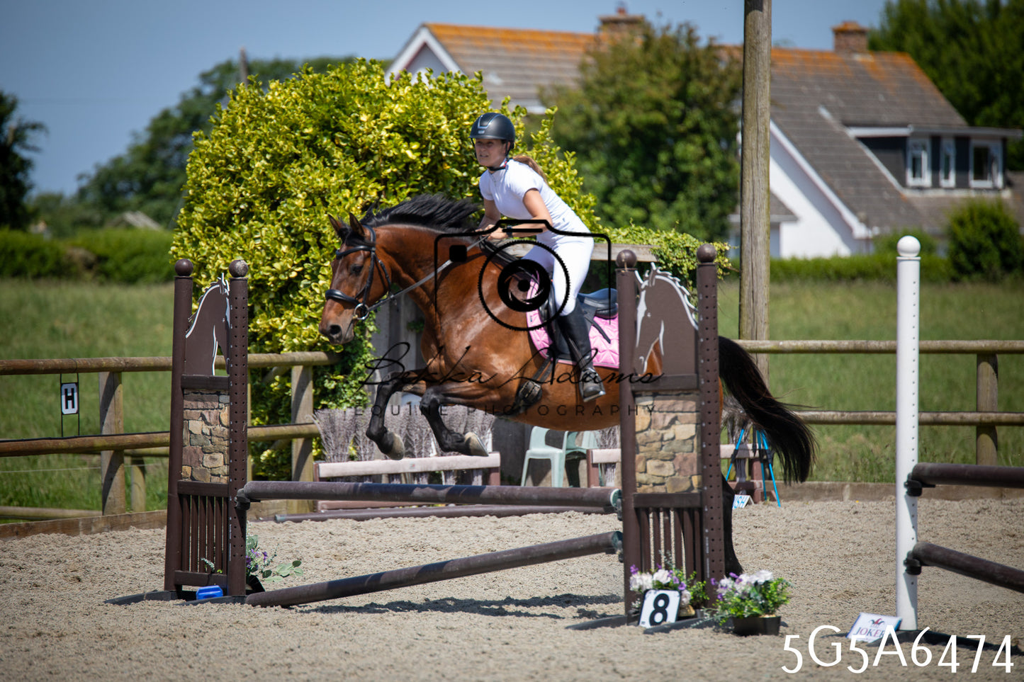 Home Farm Show Jumping 24th May 2026