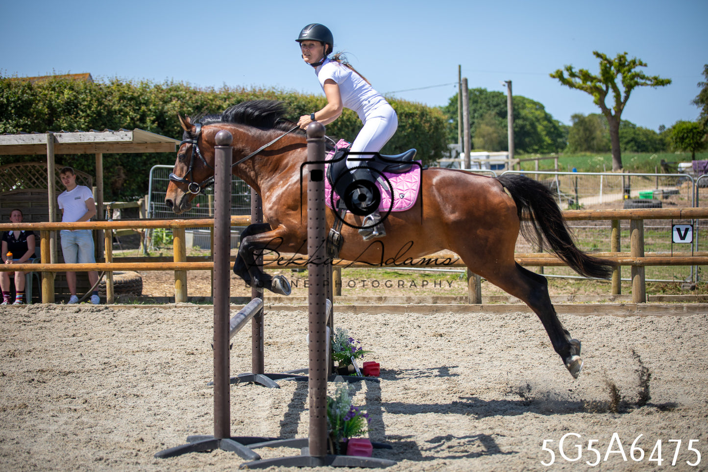 Home Farm Show Jumping 24th May 2026