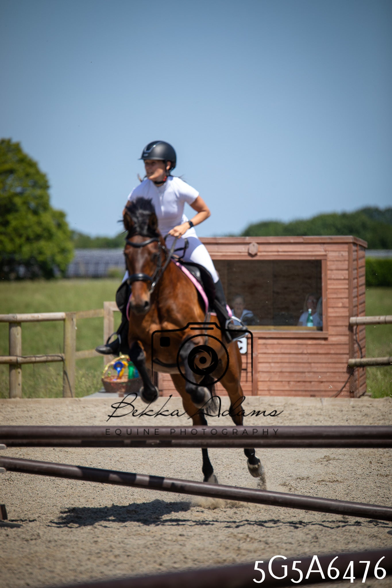 Home Farm Show Jumping 24th May 2026