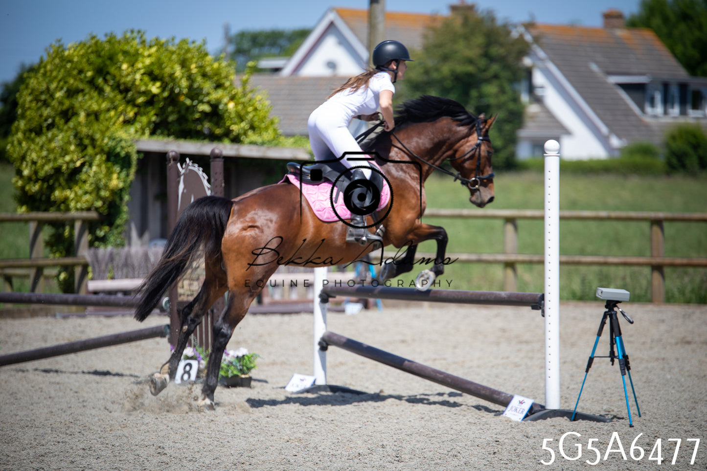 Home Farm Show Jumping 24th May 2026