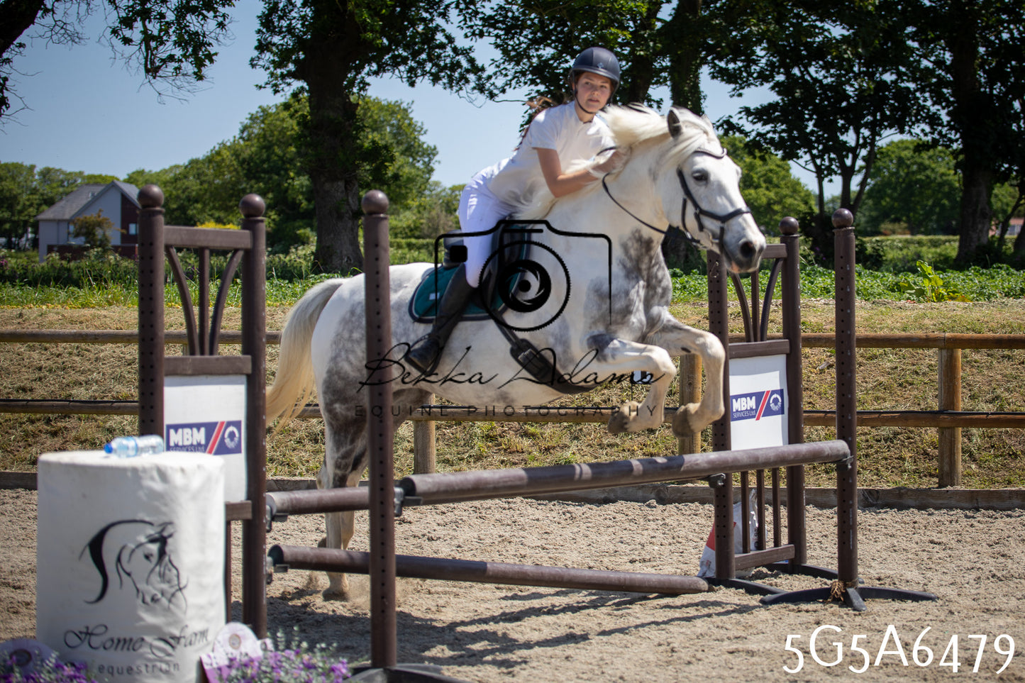 Home Farm Show Jumping 24th May 2026