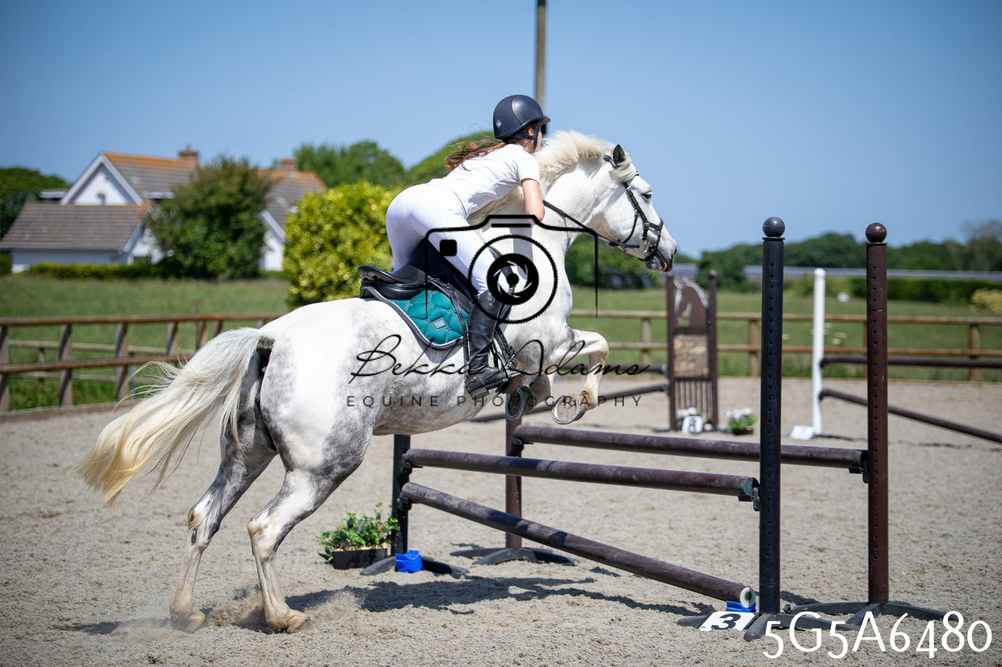 Home Farm Show Jumping 24th May 2026