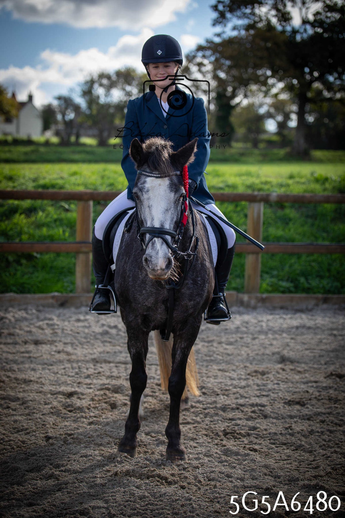 Funshine Show Jumping 2026 - Seniors