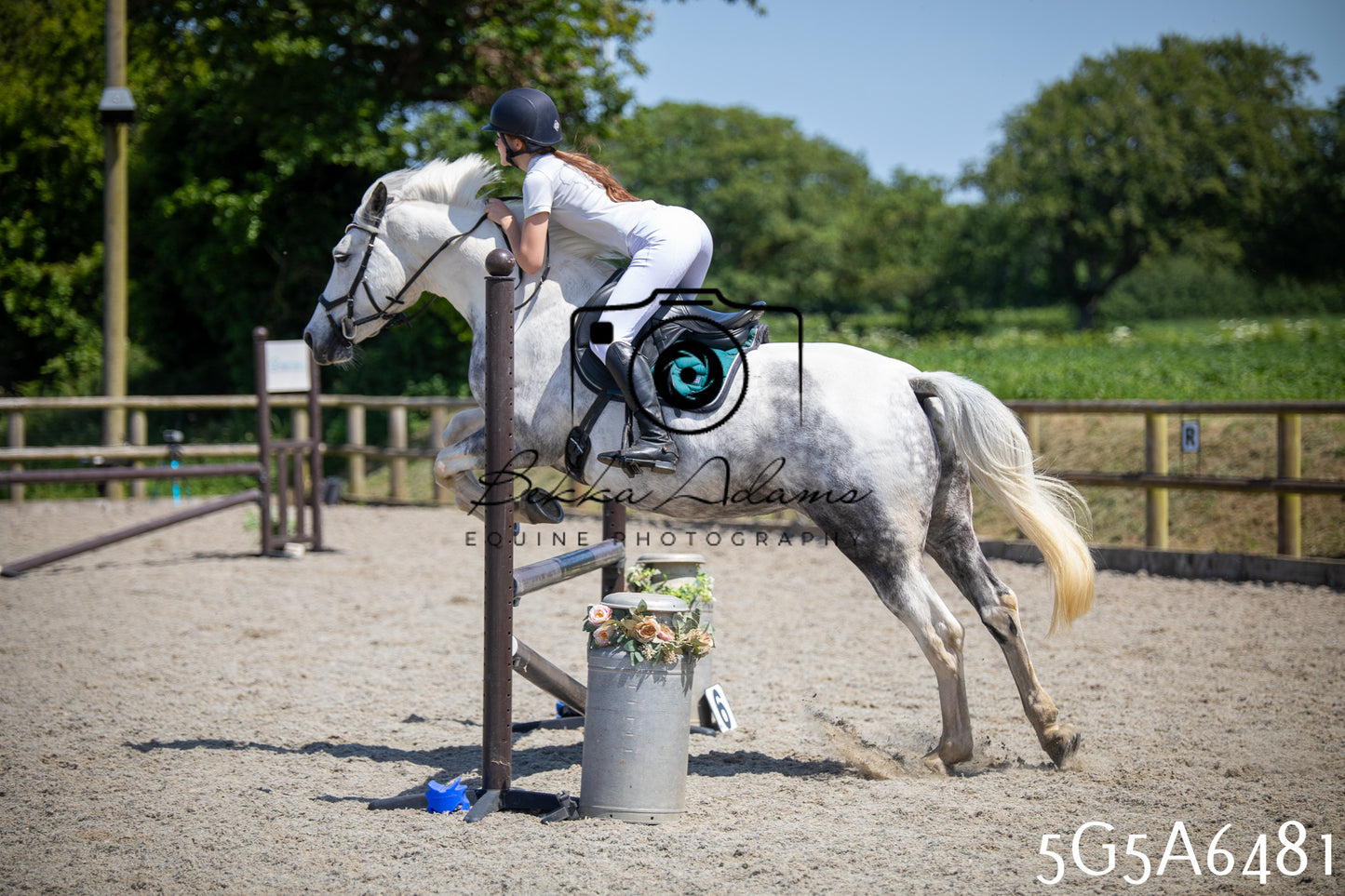 Home Farm Show Jumping 24th May 2026