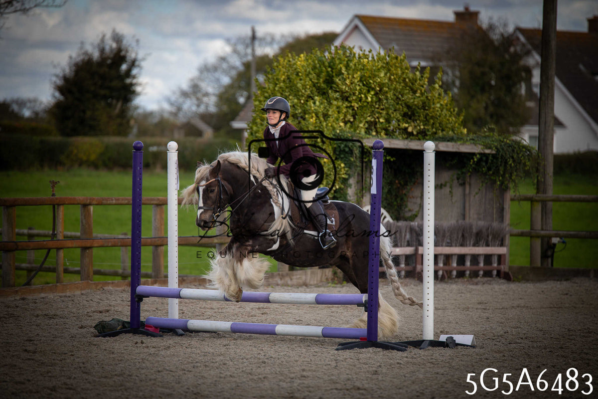 Funshine Show Jumping 2026 - Seniors