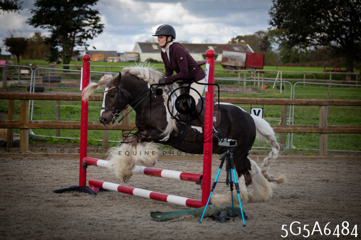 Funshine Show Jumping 2026 - Seniors