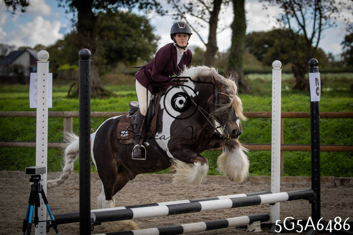 Funshine Show Jumping 2026 - Seniors