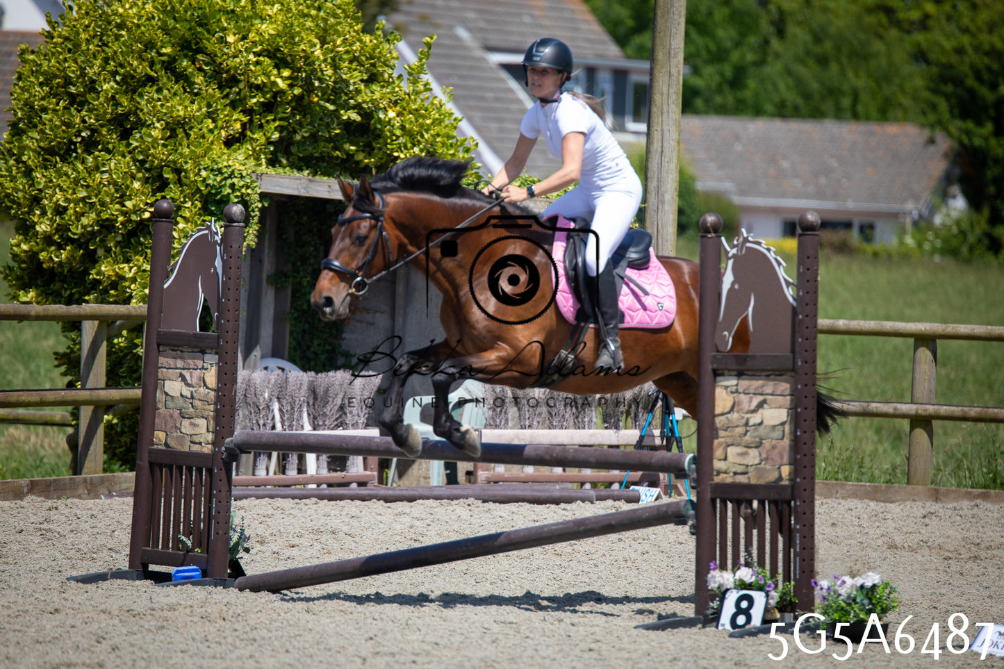 Home Farm Show Jumping 24th May 2026