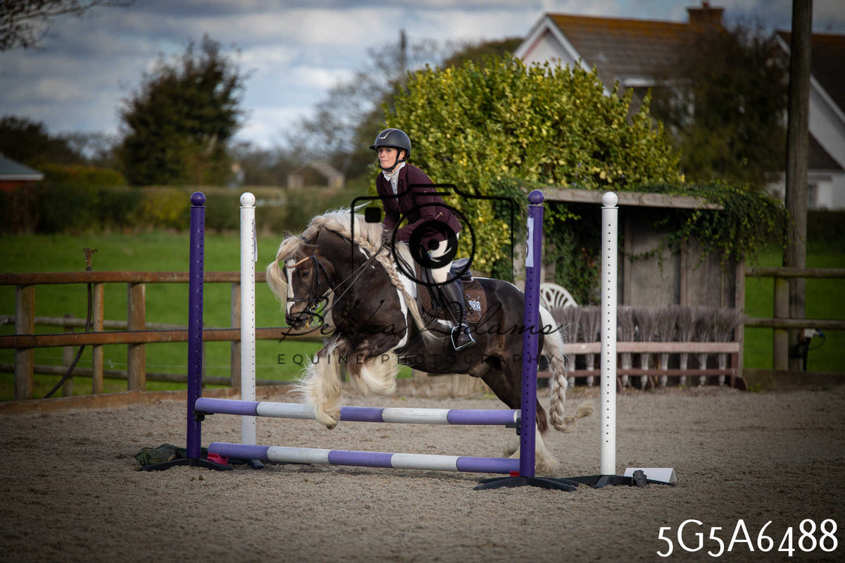 Funshine Show Jumping 2026 - Seniors