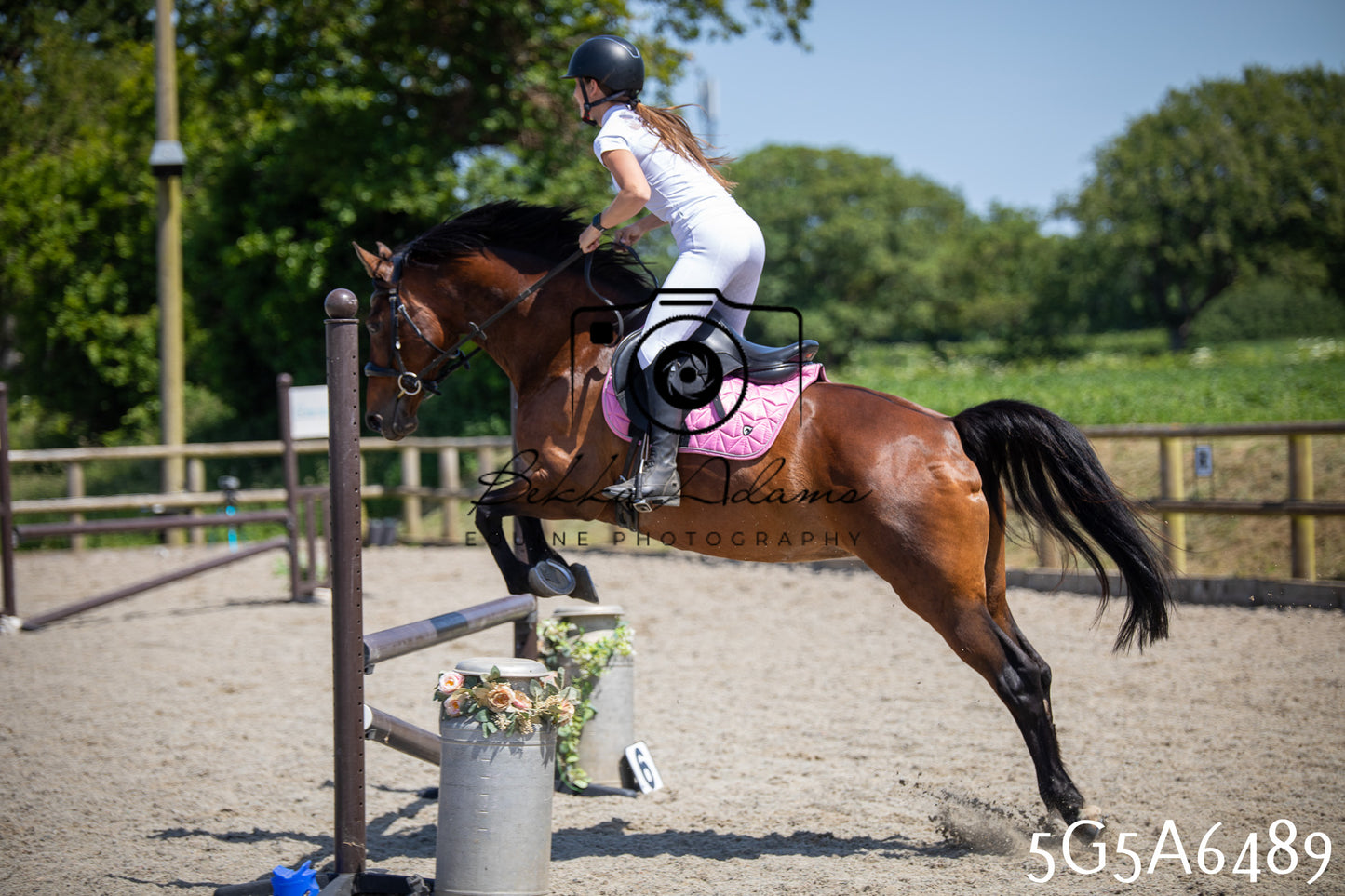 Home Farm Show Jumping 24th May 2026