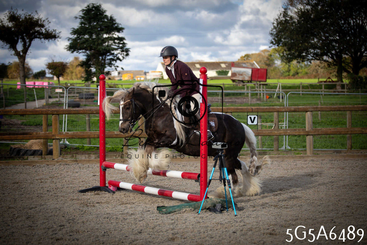 Funshine Show Jumping 2026 - Seniors