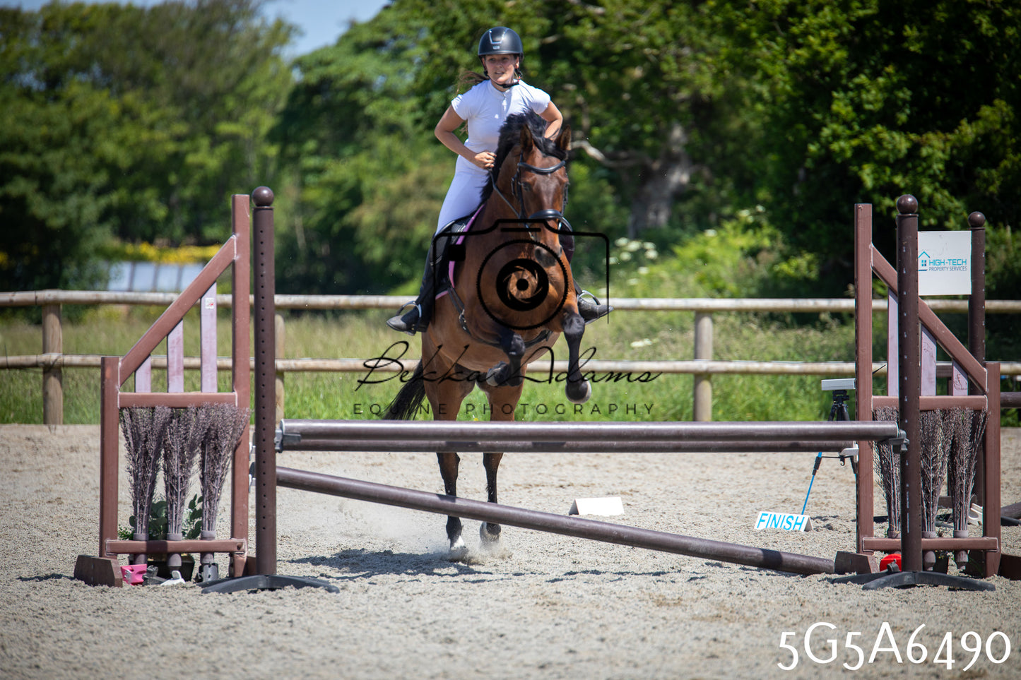 Home Farm Show Jumping 24th May 2026