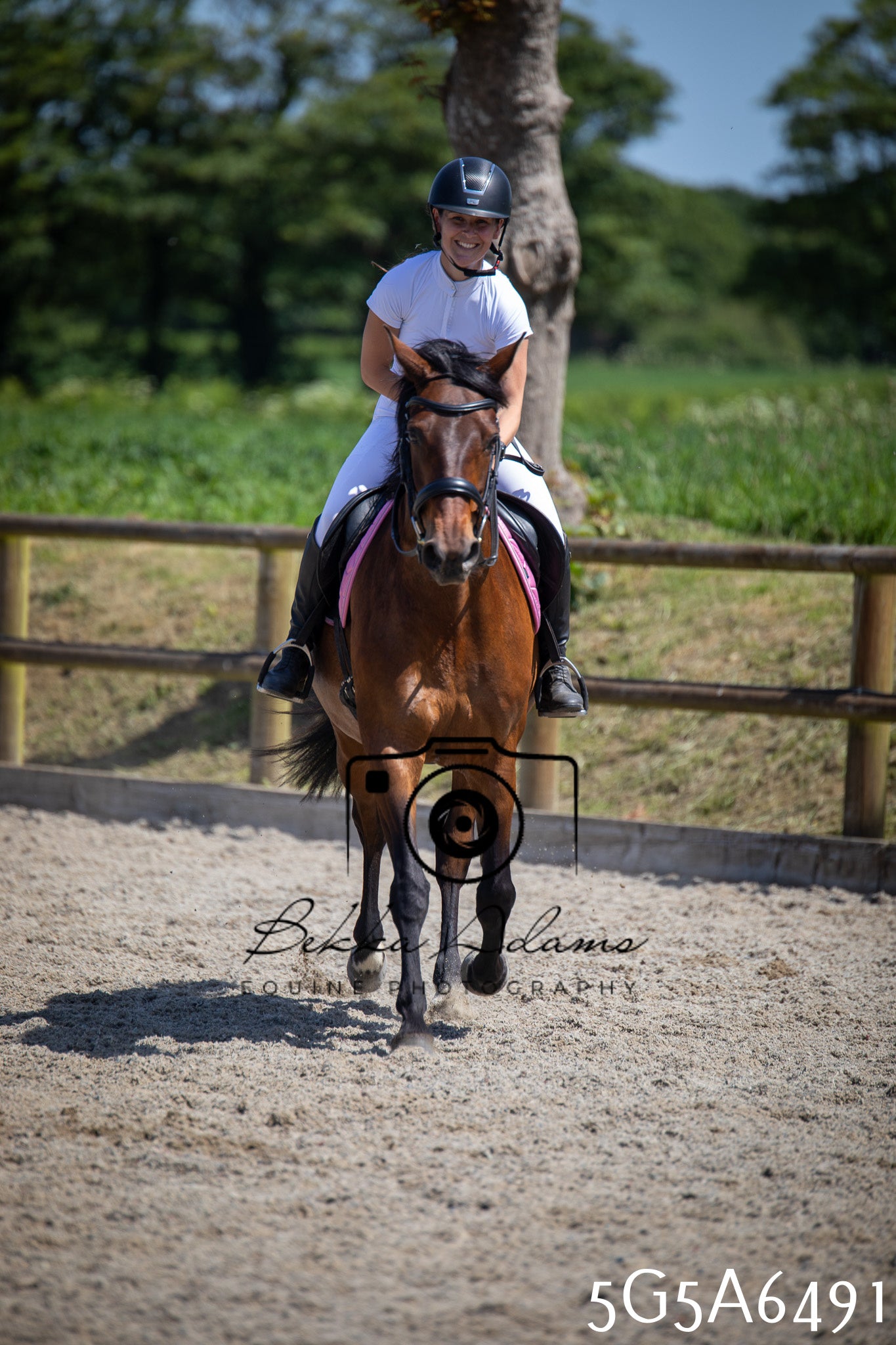 Home Farm Show Jumping 24th May 2026